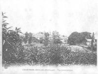                            Ancienne photo panoramique de Champniers vue de l'ouest. On peut distinguer les deux tours (nord et sud). Aujourd'hui seule la tour nord est encore sur pied. On distingue aussi le clocher de l'église. Au premier plan, un haie de châtaignier                                  